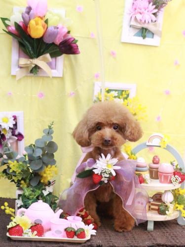 20230309永遠ちゃん